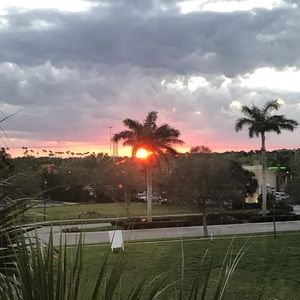 Meet your Posher, Jerry